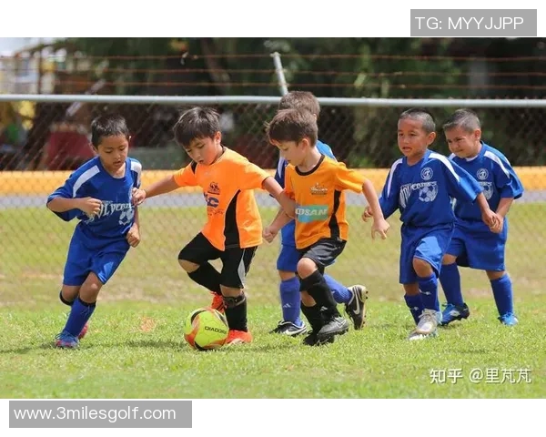 足球明星的文化素养现状探讨是否真的存在文盲现象